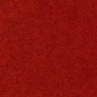 4981
