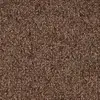 901 Beige