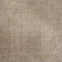 6661 Elephant Skin