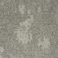 34305 Spring Seed