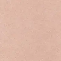 1310 Beige