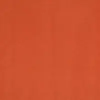 1333 Mandarine