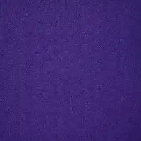 1385 Violet
