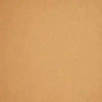 1995 Camel