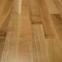 European Walnut