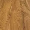 American Elm