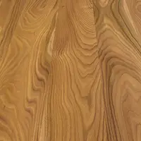 American Elm