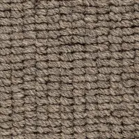Bark