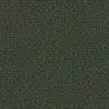 1075 Underbrush