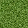 6559 Muguet
