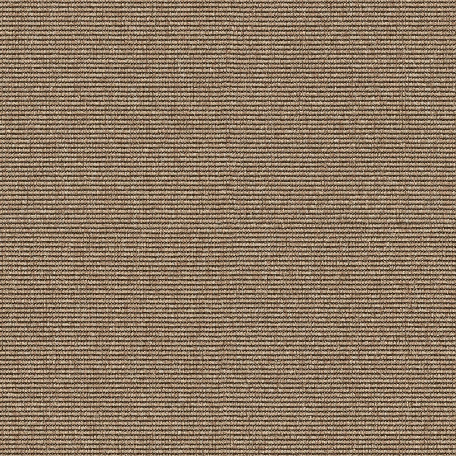 Eco Web One cab 400: 1002 String
