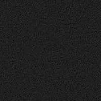 7717 Dark Night