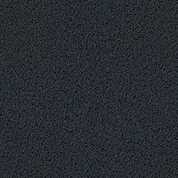 7721 Black Forrest