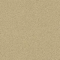 7704 Stone