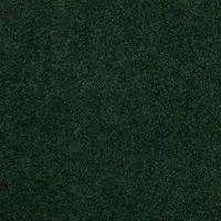 6036 Phoenician Green