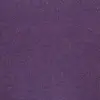 11874 Lilac Iris