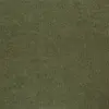 11867 Sage Green