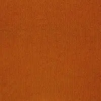 11868 Tangerine Orange
