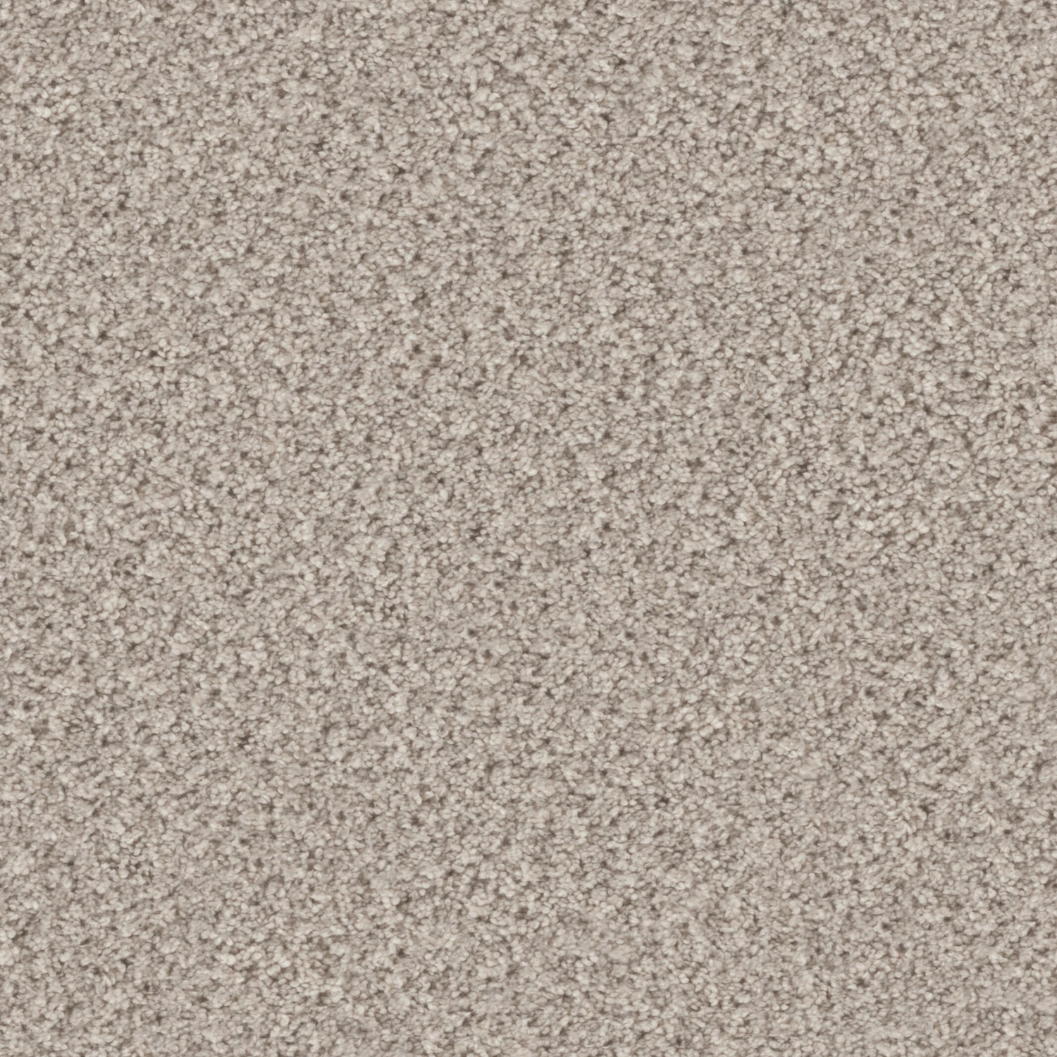 Eddy 2100 cab 400: 2150 Creamy