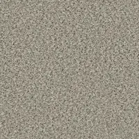 2154 Pebble