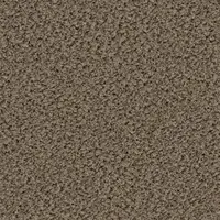 2155 Taupe