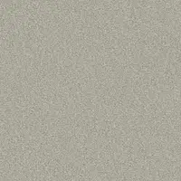 2006 Light Grey