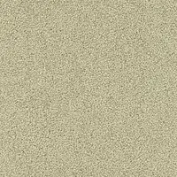 000010-802