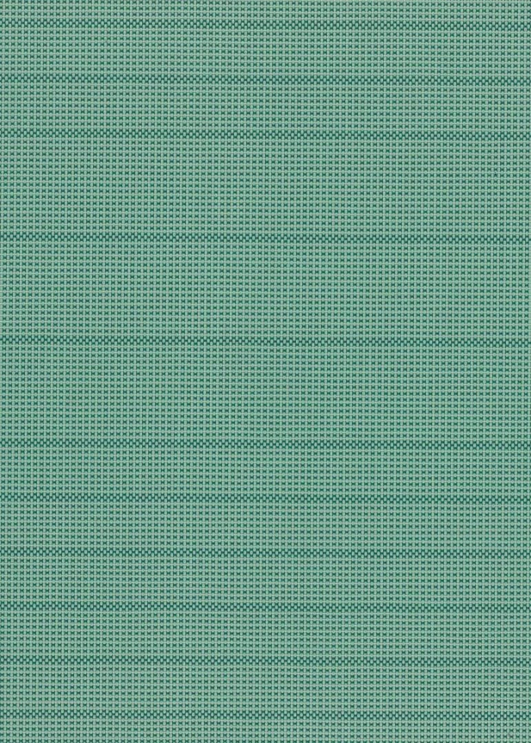 Density 250 cm: Pine