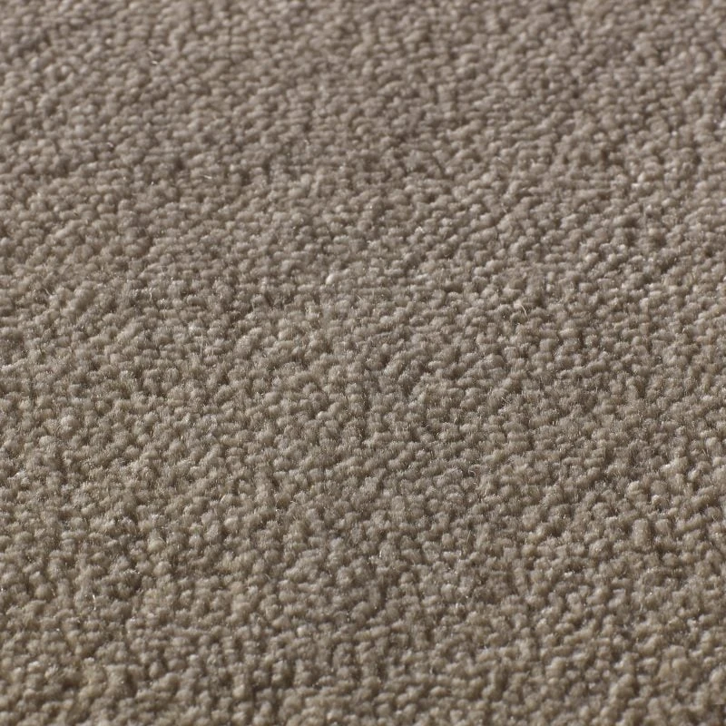 Rajgarh pp 400 500: Caramel