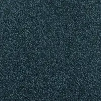 000010-303