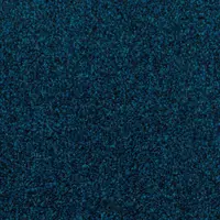 000010-307