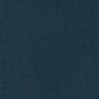 504