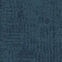 579