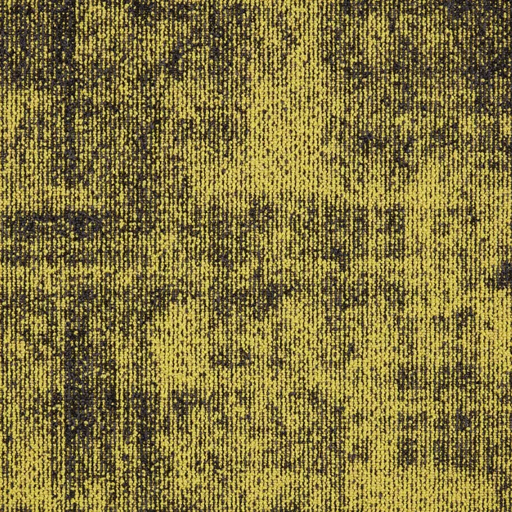 First Define sd b2b 50x50 cm: 210