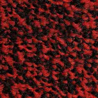 Black Scarlet
