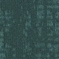 Vivid  67375