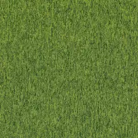 Spring 83326