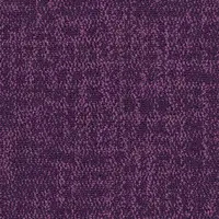 Magenta 53991
