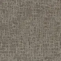 Light Taupe 53506