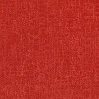 Poppy 53856