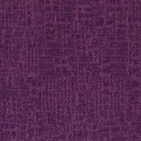 Magenta 53991