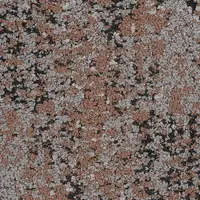 35675 Apricot