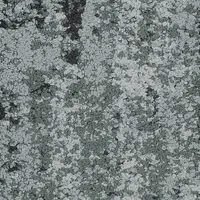 Mint 35327