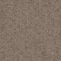Apricot 48675