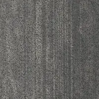 Sense-Rainstorm 48536