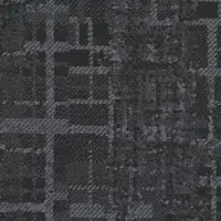 Patent 79505