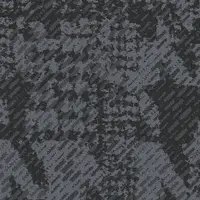 Patent 79505
