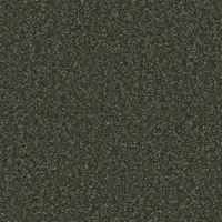 590 Moss