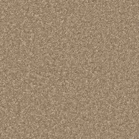 260 Camel
