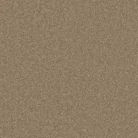 220 Acorn